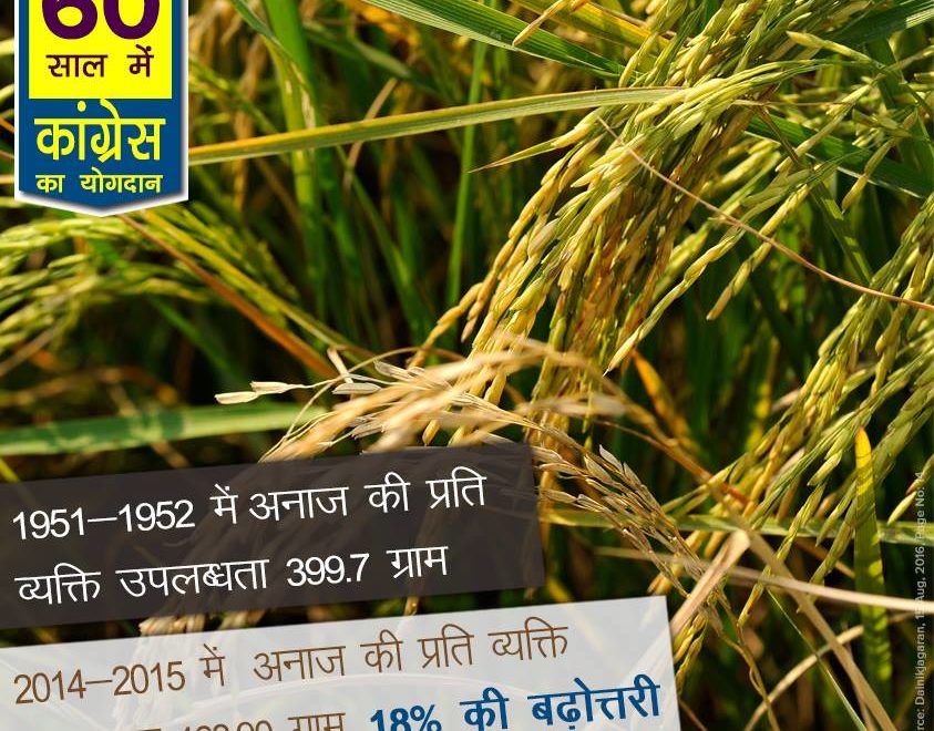 Per capita availability of grains 60 years congress rule india, 60 years of congress rule in India, 60 years of congress rule in India, 60 years of congress, 60 years of congress strong democracy, 60 years of congress rule India, Economic liberalization, Roads Increase in India, 60 years congress rule India Coal and lignite increase, 60 years congress rule India bring RTI, 60 years congress rule India Milk Production Increase, MANREGA for poor people, 60 years congress rule India Banking sector nationalization