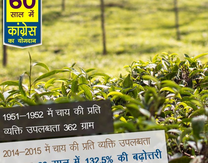 Per capita availability of tea increase 132 congress 60 years rule india, 60 years of congress rule in India, 60 years of congress rule in India, 60 years of congress, 60 years of congress strong democracy, 60 years of congress rule India, Economic liberalization, Roads Increase in India, 60 years congress rule India Coal and lignite increase, 60 years congress rule India bring RTI, 60 years congress rule India Milk Production Increase, MANREGA for poor people, 60 years congress rule India Banking sector nationalization