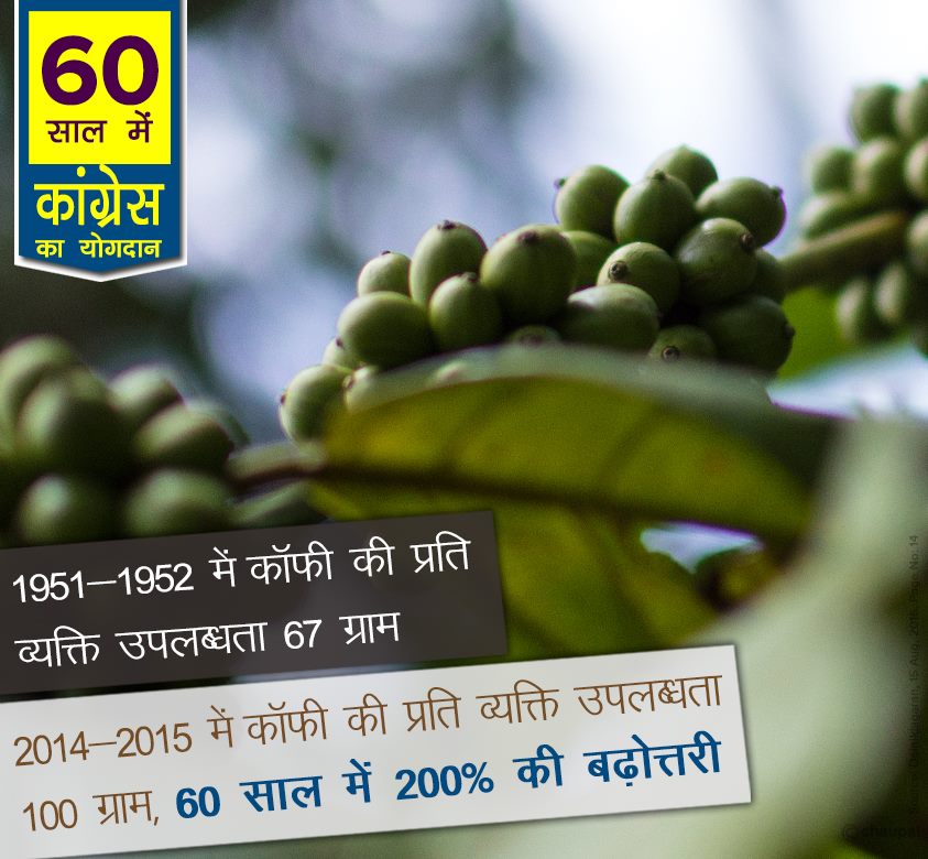 Coffee per person availability was 100 grams 60 years congress rule india, 60 years of congress rule in India, 60 years of congress rule in India, 60 years of congress, 60 years of congress strong democracy, 60 years of congress rule India, Economic liberalization, Roads Increase in India, 60 years congress rule India Coal and lignite increase, 60 years congress rule India bring RTI, 60 years congress rule India Milk Production Increase, MANREGA for poor people, 60 years congress rule India Banking sector nationalization