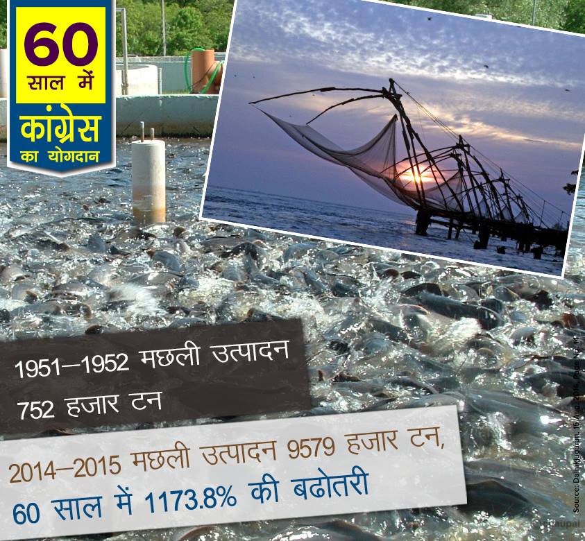 Fish production 9579 thousand Tone 60 years congress rule india, 60 years of congress rule in India, 60 years of congress rule in India, 60 years of congress, 60 years of congress strong democracy, 60 years of congress rule India, Economic liberalization, Roads Increase in India, 60 years congress rule India Coal and lignite increase, 60 years congress rule India bring RTI, 60 years congress rule India Milk Production Increase, MANREGA for poor people, 60 years congress rule India Banking sector nationalization