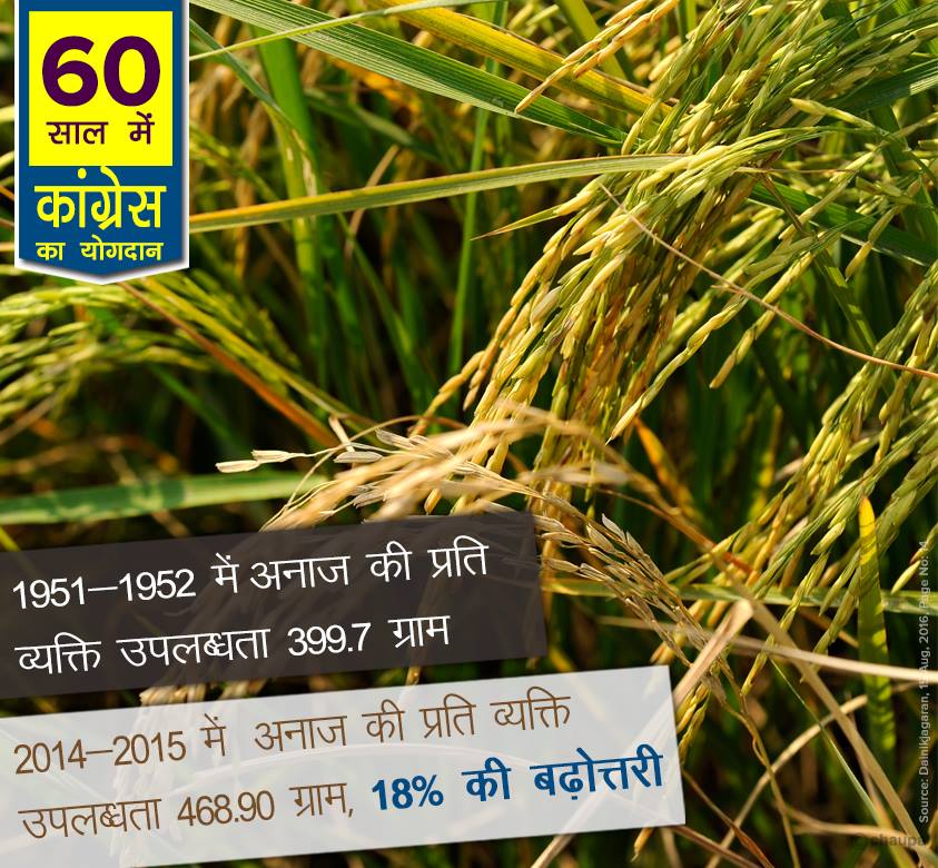 Per capita availability of grains 60 years congress rule india, 60 years of congress rule in India, 60 years of congress rule in India, 60 years of congress, 60 years of congress strong democracy, 60 years of congress rule India, Economic liberalization, Roads Increase in India, 60 years congress rule India Coal and lignite increase, 60 years congress rule India bring RTI, 60 years congress rule India Milk Production Increase, MANREGA for poor people, 60 years congress rule India Banking sector nationalization