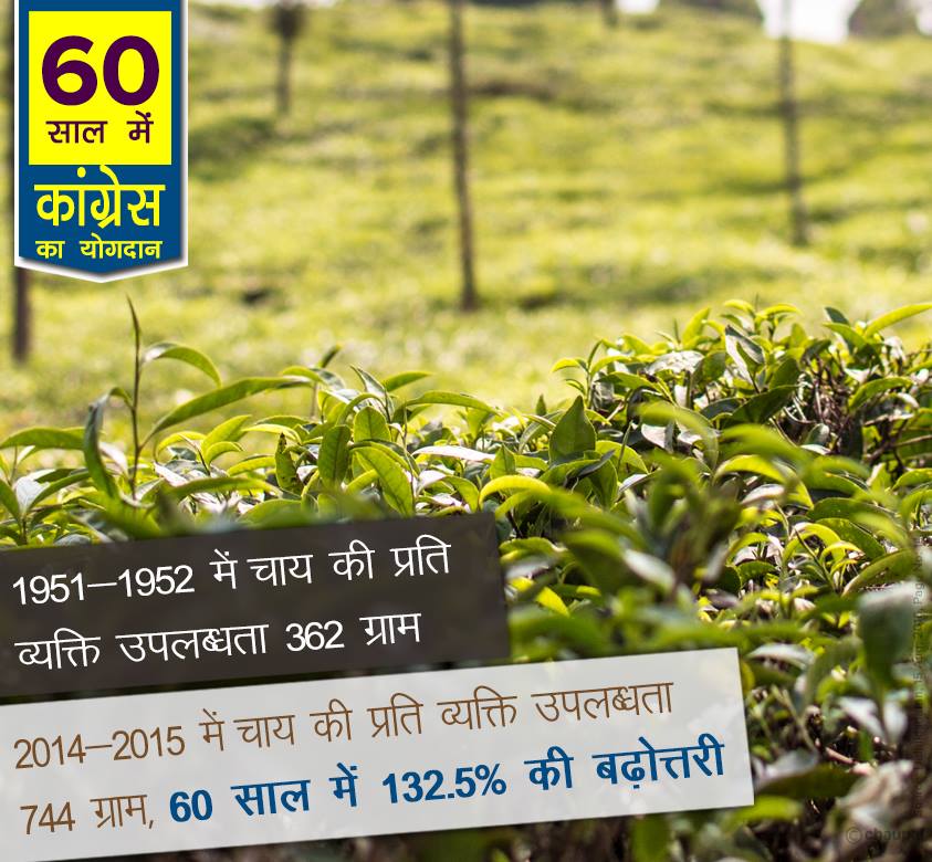 Per capita availability of tea increase 132 congress 60 years rule india, 60 years of congress rule in India, 60 years of congress rule in India, 60 years of congress, 60 years of congress strong democracy, 60 years of congress rule India, Economic liberalization, Roads Increase in India, 60 years congress rule India Coal and lignite increase, 60 years congress rule India bring RTI, 60 years congress rule India Milk Production Increase, MANREGA for poor people, 60 years congress rule India Banking sector nationalization